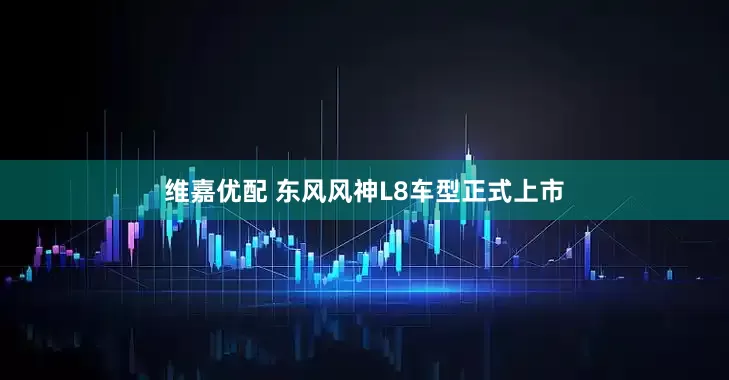 维嘉优配 东风风神L8车型正式上市